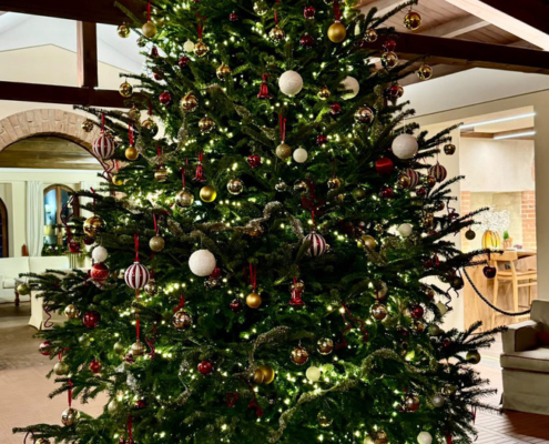 Golf Club Verona dal 1963 is "The Best Christmas Tree 2024"