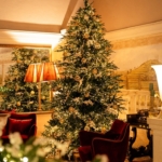 The Best Chrismas Tree 2025