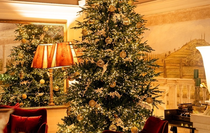 The Best Chrismas Tree 2025