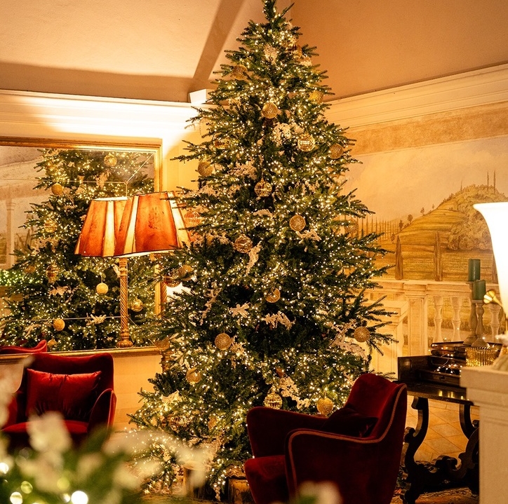 The Best Chrismas Tree 2025