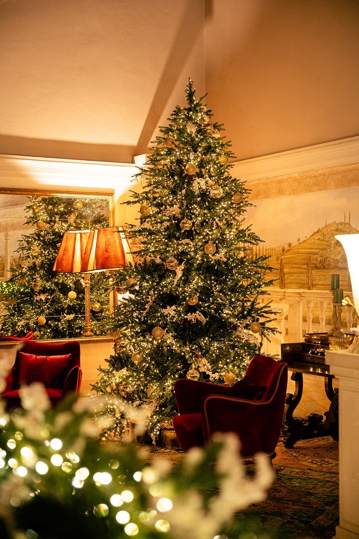 The Best Chrismas Tree 2025