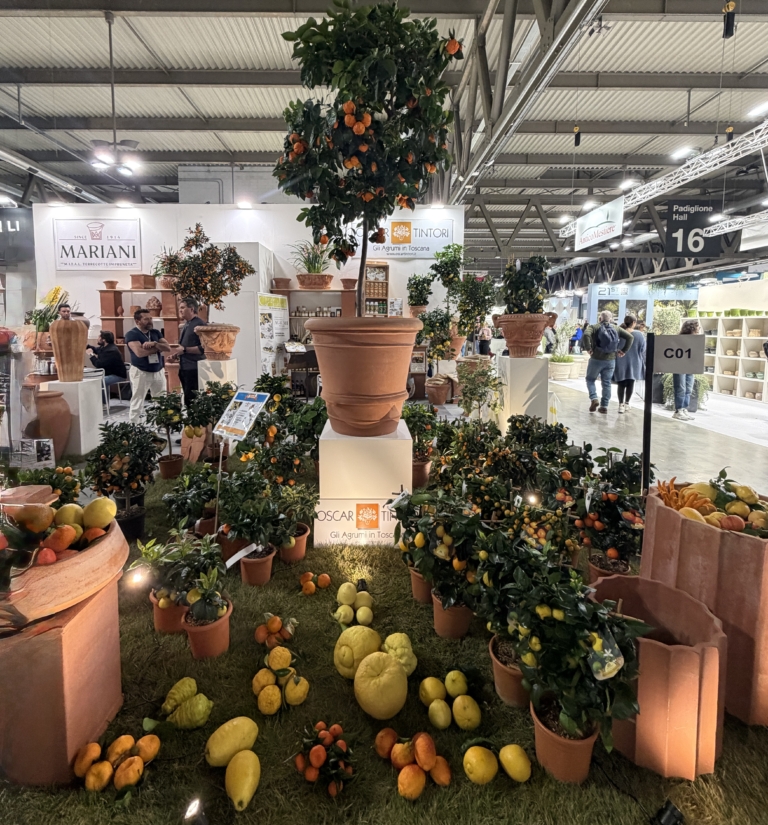 96CD5D1D-3ED8-44DD-9A22-7DD10E6795FC