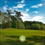 Golf & Green Minds