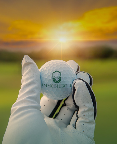 PRESENTAZIONE PALLINA SITO